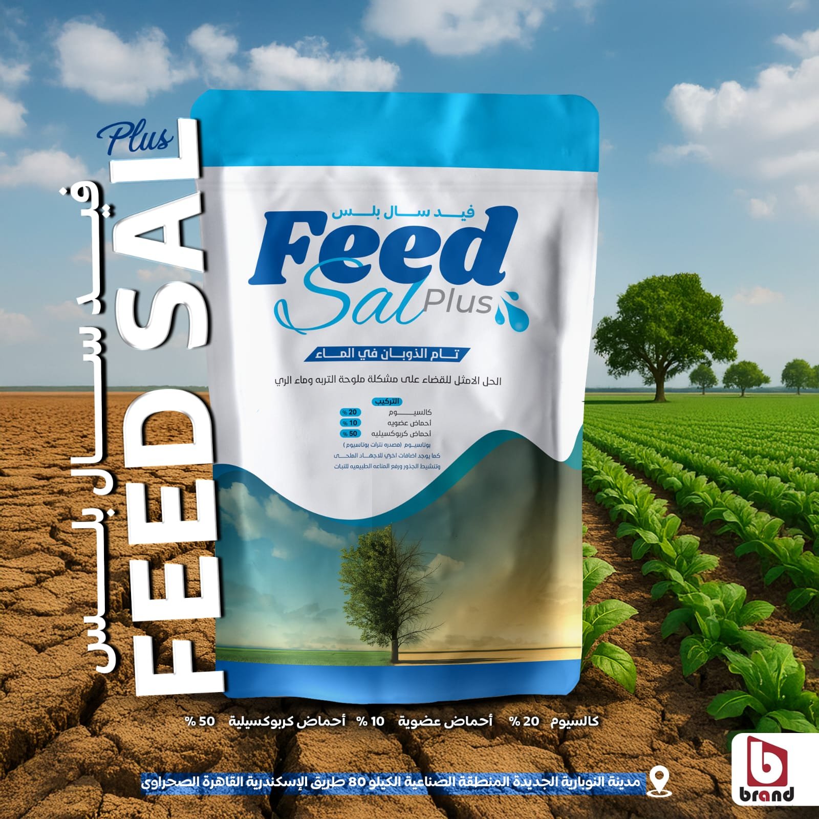 WhatsApp Image 2025-09-22 at 12.46.45 AM