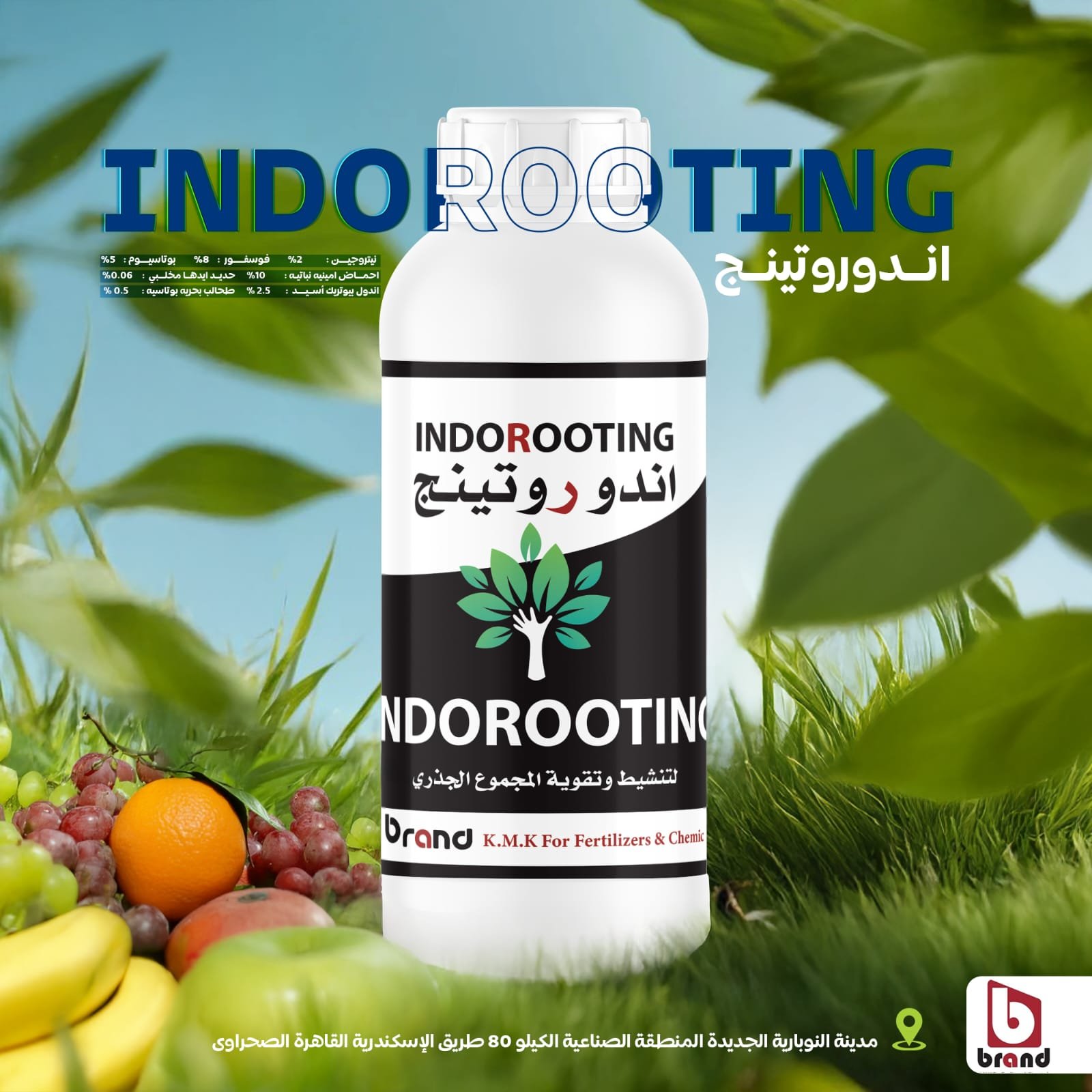 WhatsApp Image 2025-09-22 at 12.46.56 AM