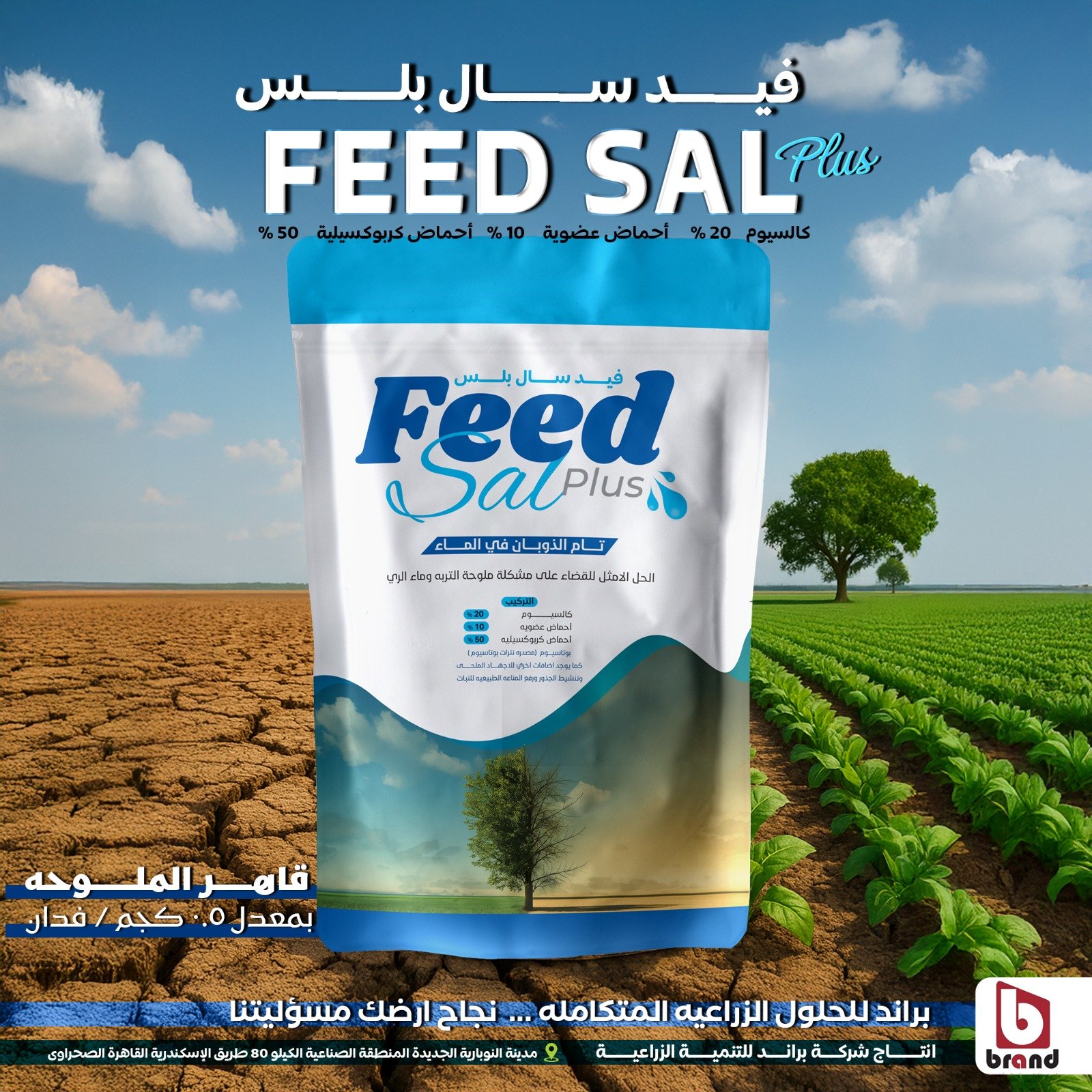 WhatsApp Image 2025-09-22 at 12.47.19 AM